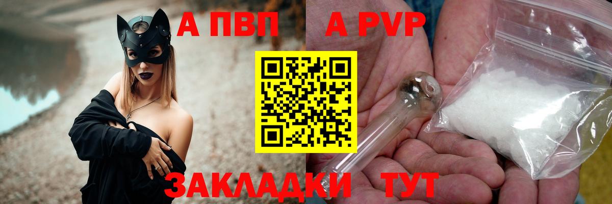 Alfa_PVP СК КРИС Великий Новгород