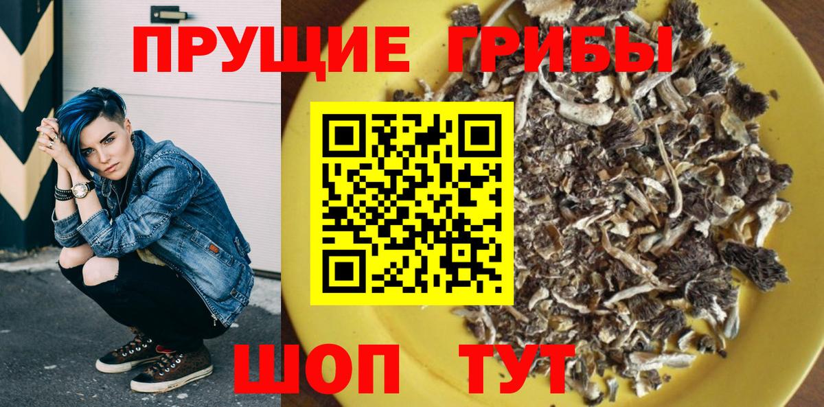Галлюциногенные грибы мухоморы Великий Новгород
